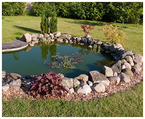 water-feature-pond